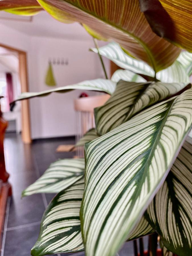 Moderne Ferienwohnung Seeblick Freudenberg  Exteriér fotografie