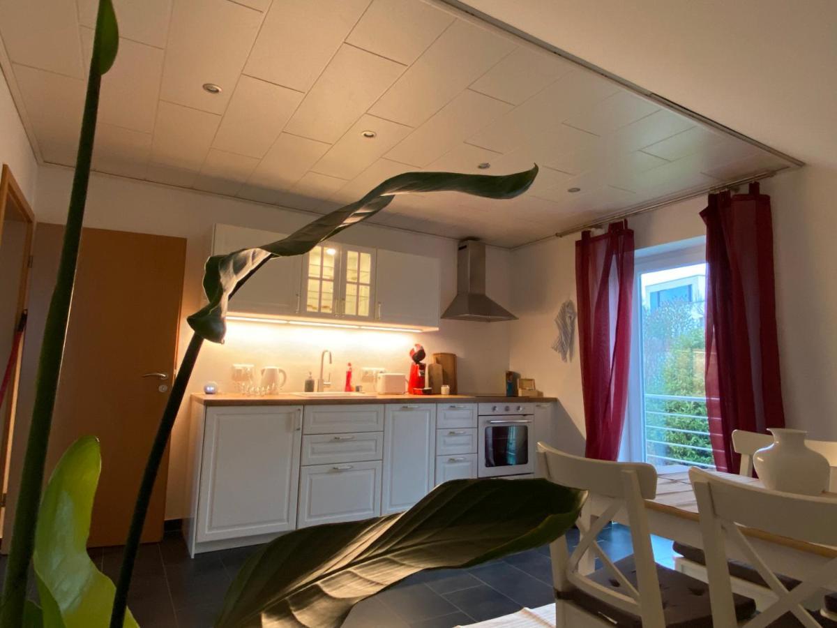 Moderne Ferienwohnung Seeblick Freudenberg  Exteriér fotografie